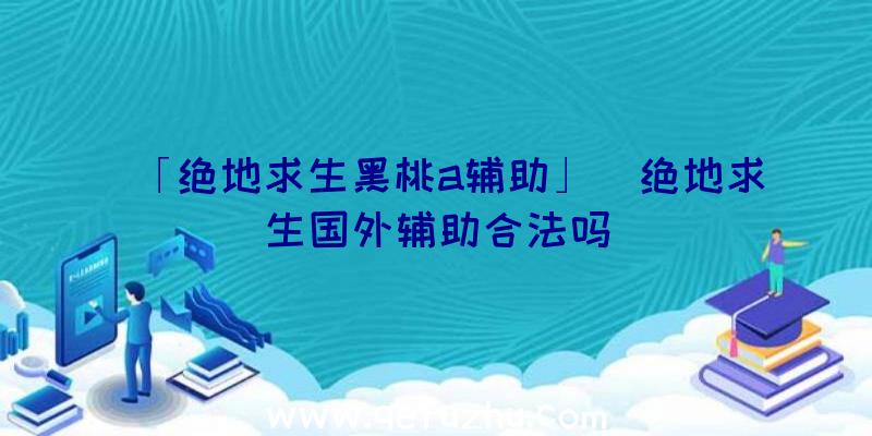 「绝地求生黑桃a辅助」|绝地求生国外辅助合法吗